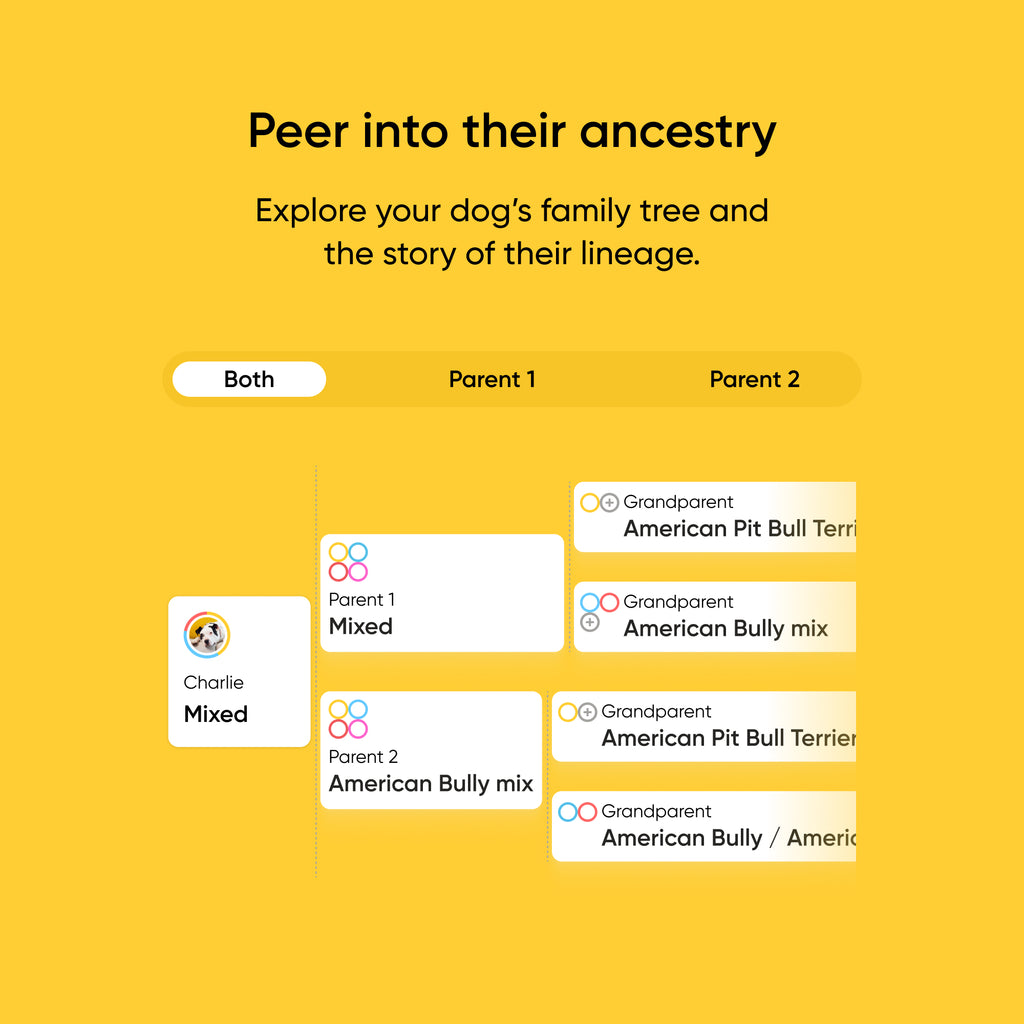 Breed + Health Test 2-Pack