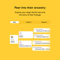 Breed + Health Dog DNA Test