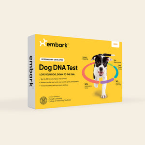 embark dog dna test yellow packaging