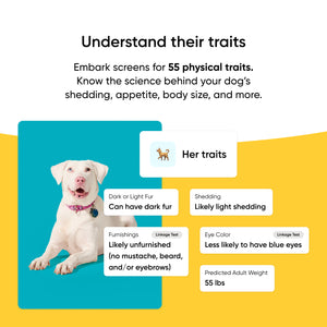Breed Identification Dog DNA Test