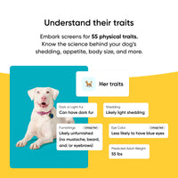 Breed Identification Dog DNA Test