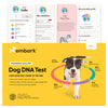 Breed Identification Dog DNA Test