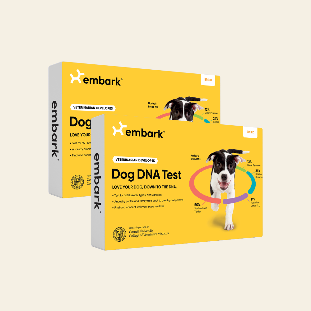 Embark Dog DNA Test Kit: Dog Breed & Health Test – Embark Vet