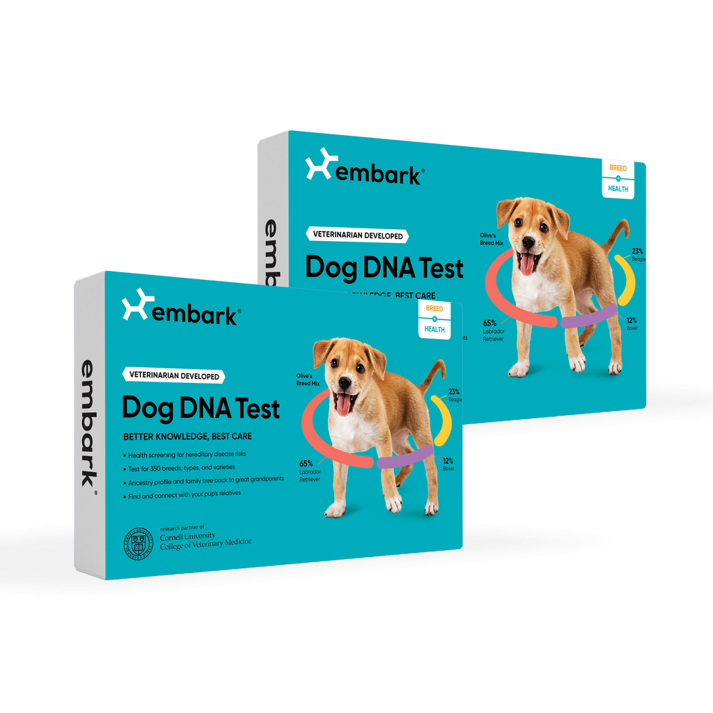 Embark Breed and Health Dog DNA Test Bundle with 2 kits