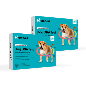 Embark Breed and Health Dog DNA Test Bundle with 2 kits