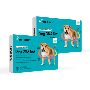 Embark Breed and Health Dog DNA Test Bundle with 2 kits