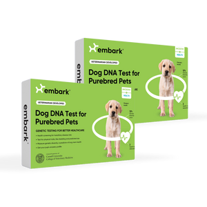 purebred dog dna test 2 pack bundle