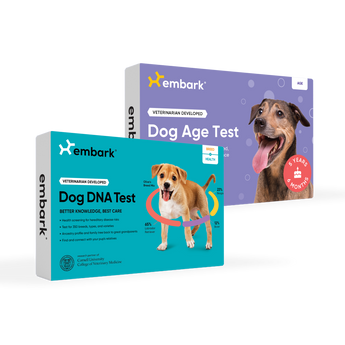 embark breed plus health and age test bundle