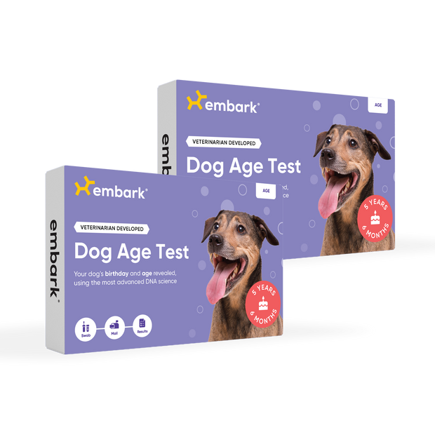 Age Test 2-Pack