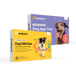 embark breed and age test for dogs