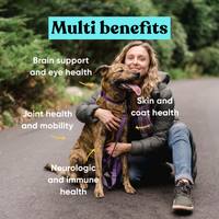 Embark Multi