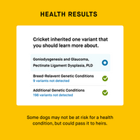 health screening result of puppy dna test