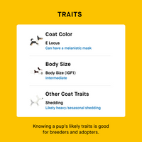 trait analysis from puppy dna test