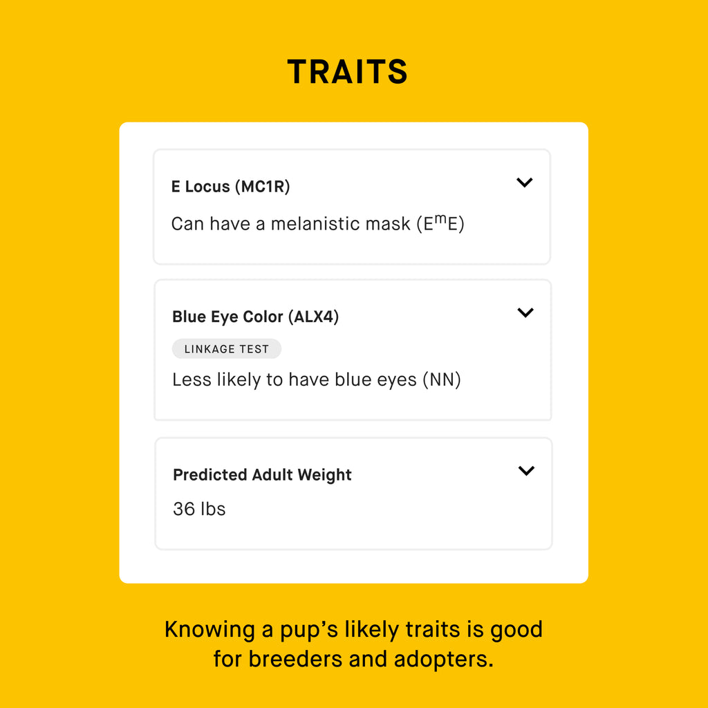 dog trait analysis from dog dna test