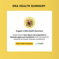 puppy health screening result of dog dna test