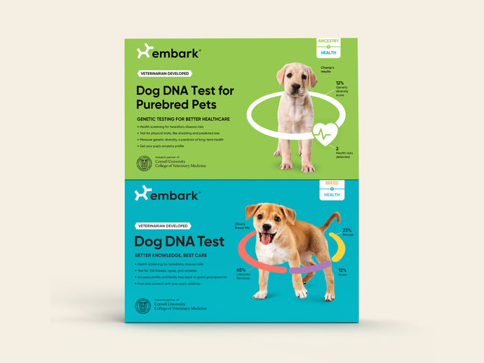 Breed + Health Test and Purebred Test Bundle