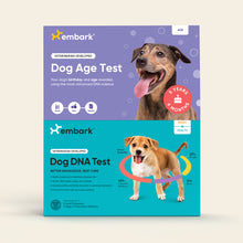 Breed + Health Test and Age Test Bundle