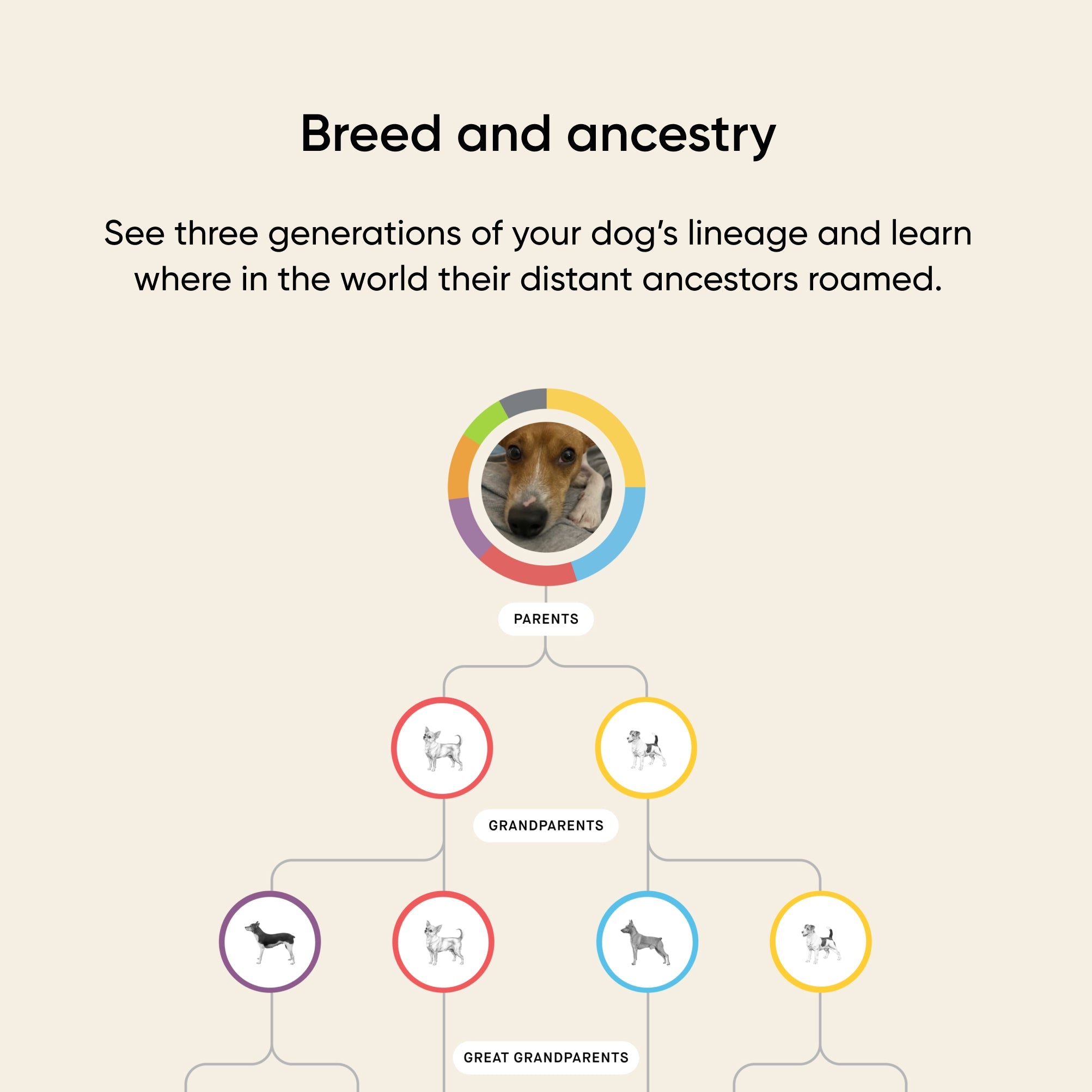 Build your own dog DNA test