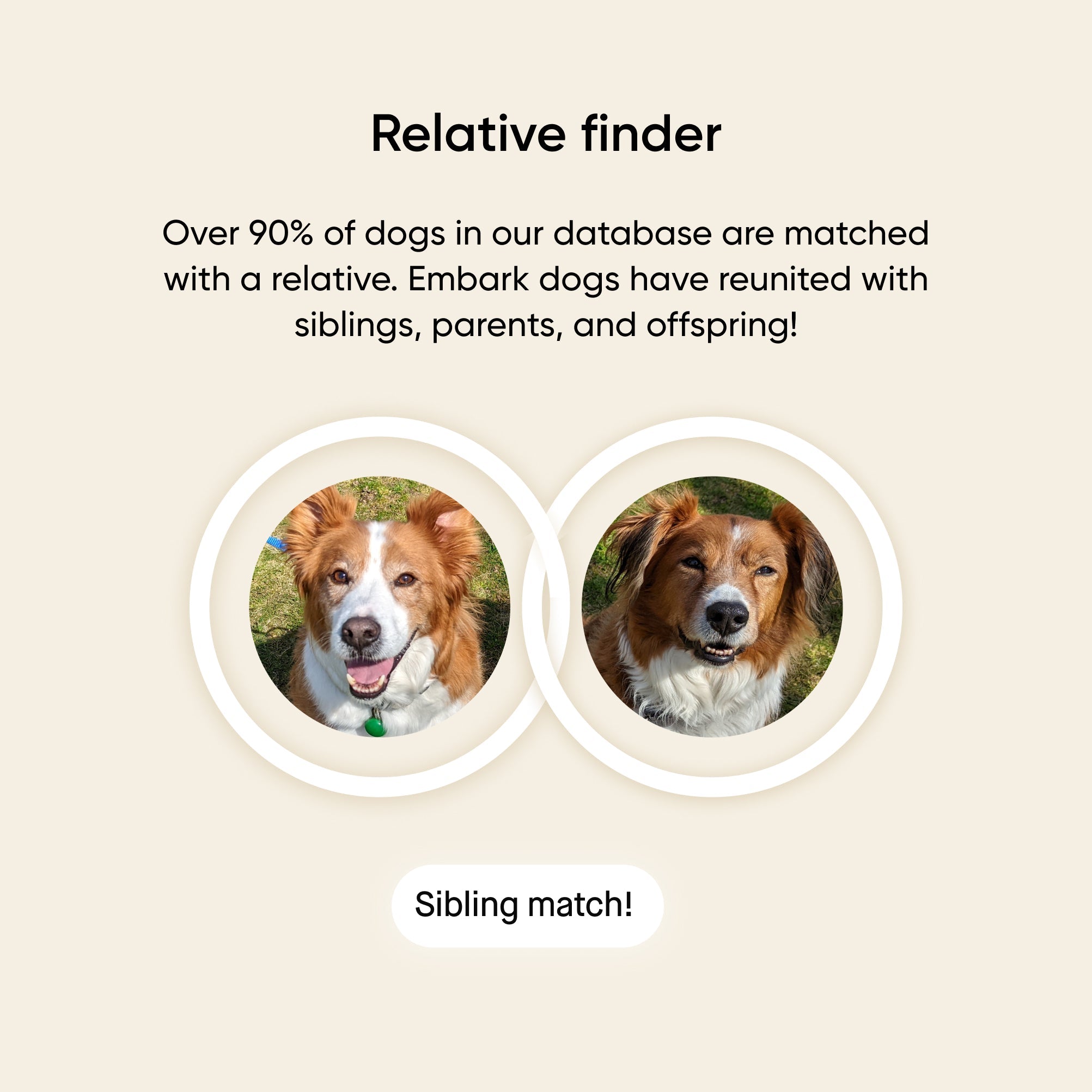 Build your own dog DNA test