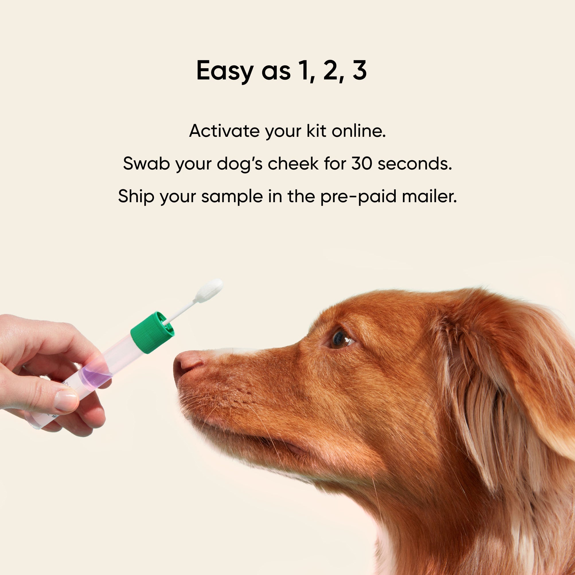 Build your own dog DNA test Embark Vet