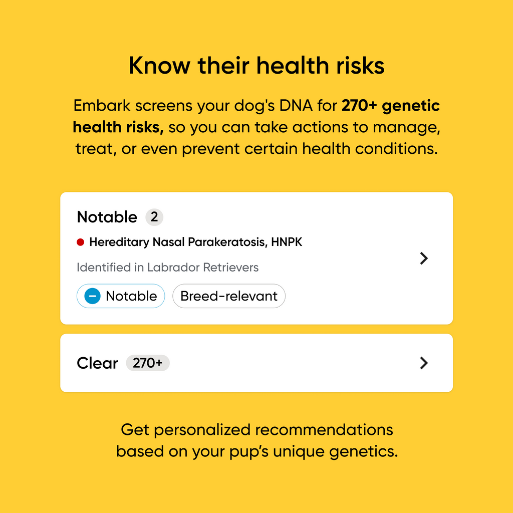 Screening for over 270 health risks identifying a specific notable hereditary risk for labrador retrievers