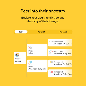 app preview of ancestry tree showing parents breeds