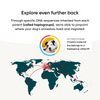 map showing where your dogs ancestors lived and migrated from based on breed