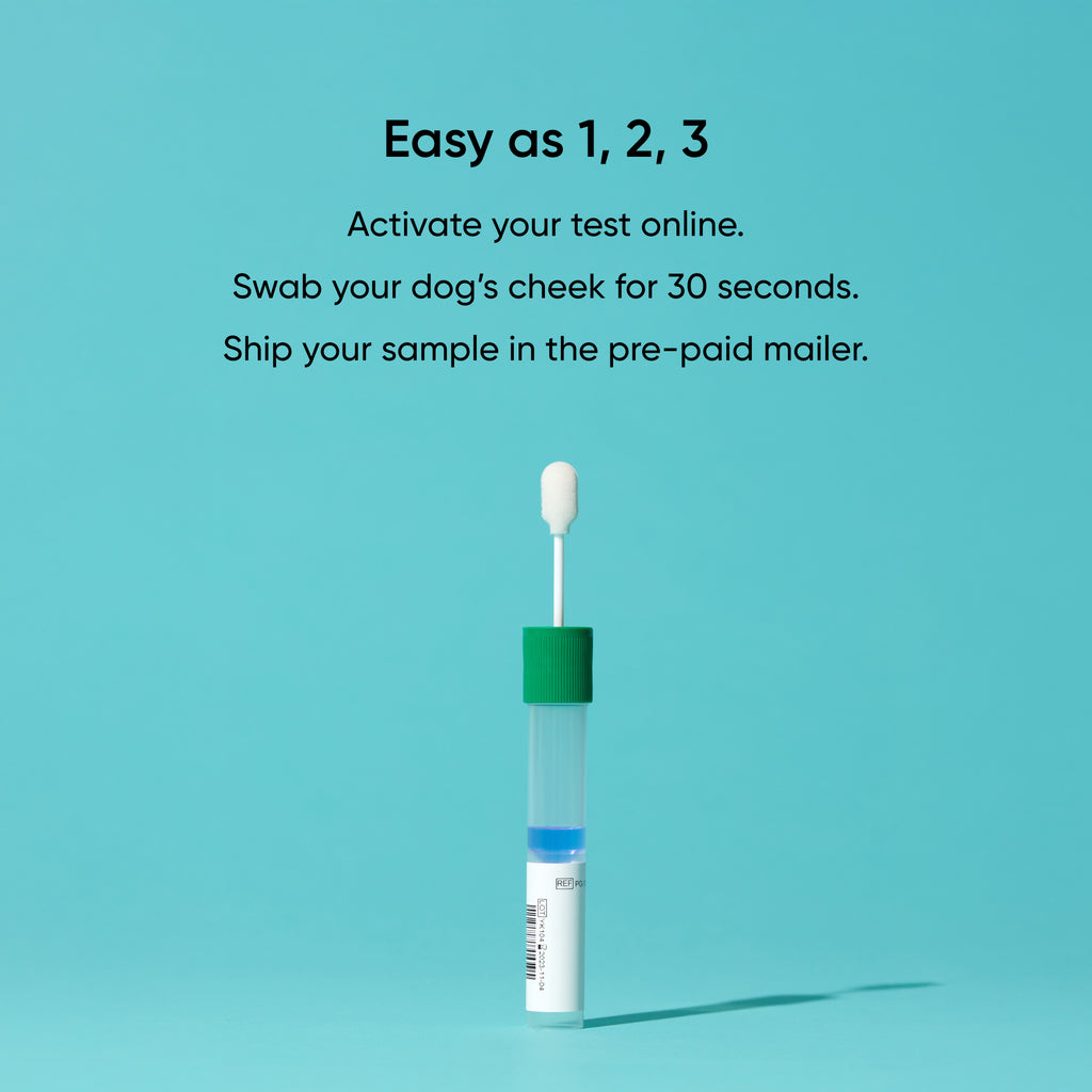 1,2,3 steps for activating, swabbing, and mailing your dna test sample