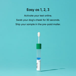 1,2,3 steps for activating, swabbing, and mailing your dna test sample