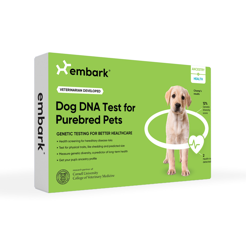 genetic health test for purebred dogs