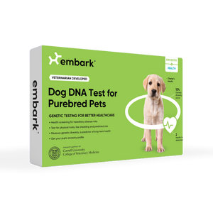 genetic health test for purebred dogs