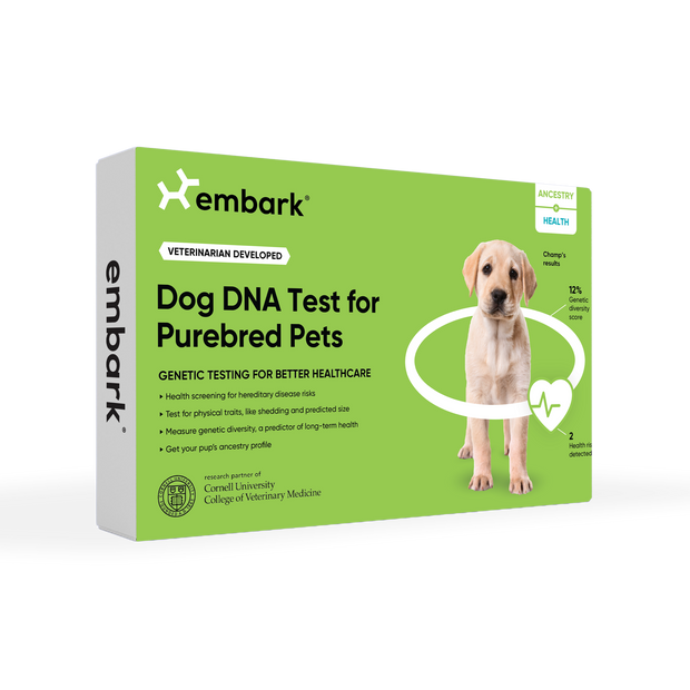 genetic health test for purebred dogs