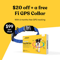 Embark dog dna test with free Fi GPS collar promotion