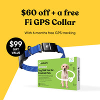 Embark dog dna test with free Fi GPS collar promotion