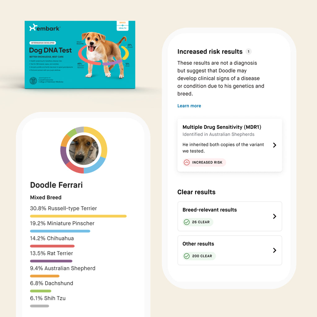 Breed + Health and Age Test Bundle