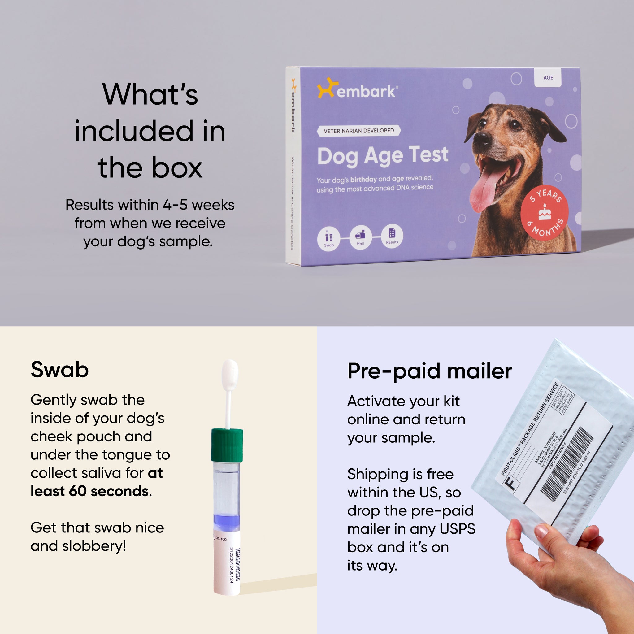 Easy At-Home Dog Age DNA Test With Embark | Find Your Dog's Age ...