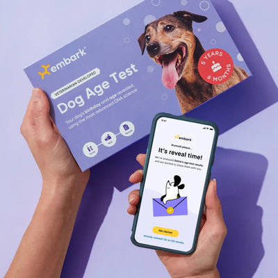 Science Behind Age Test