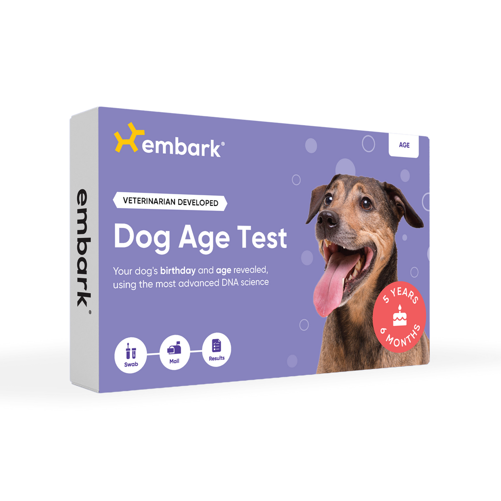 embark dog age test box