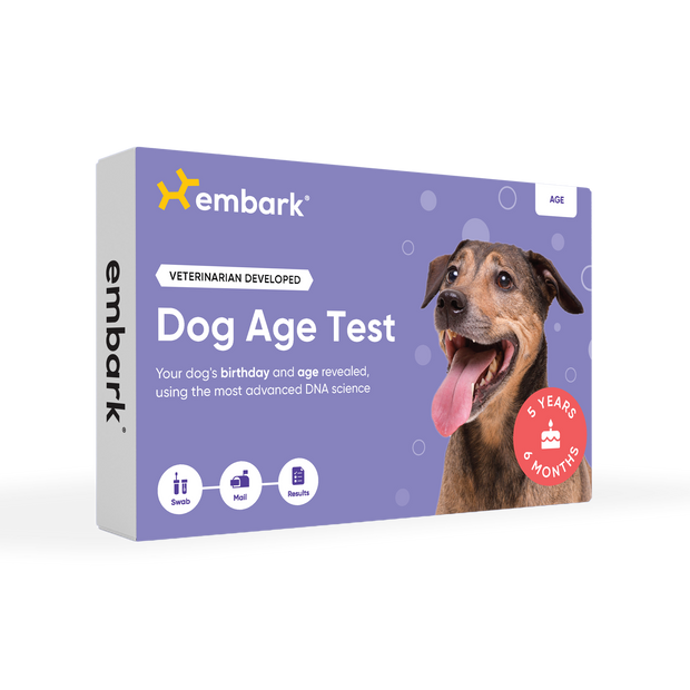 embark dog age test box
