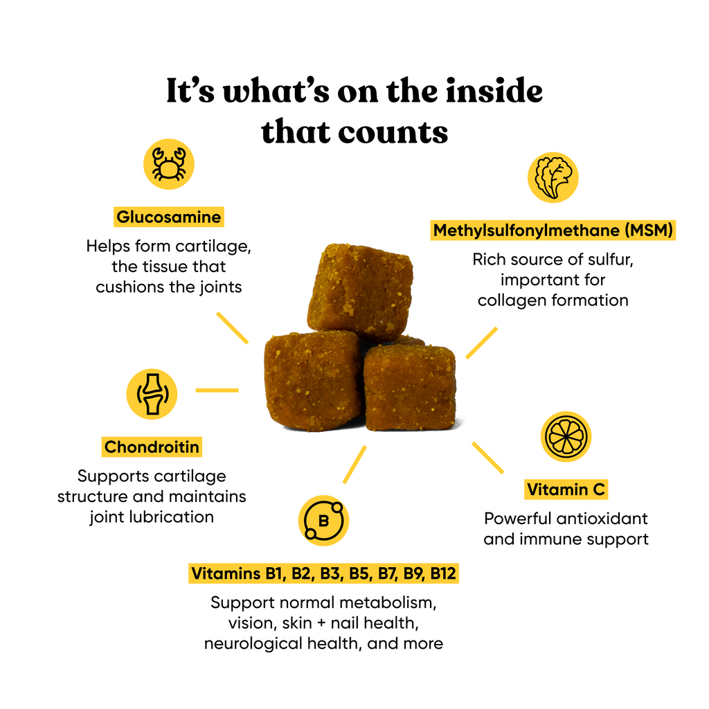 whats inside the best multi supplement for dogs