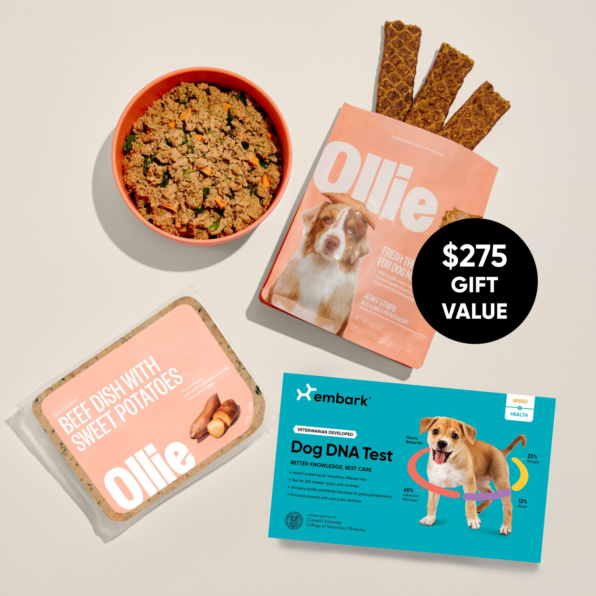 Embark Puppy Partner DNA Test