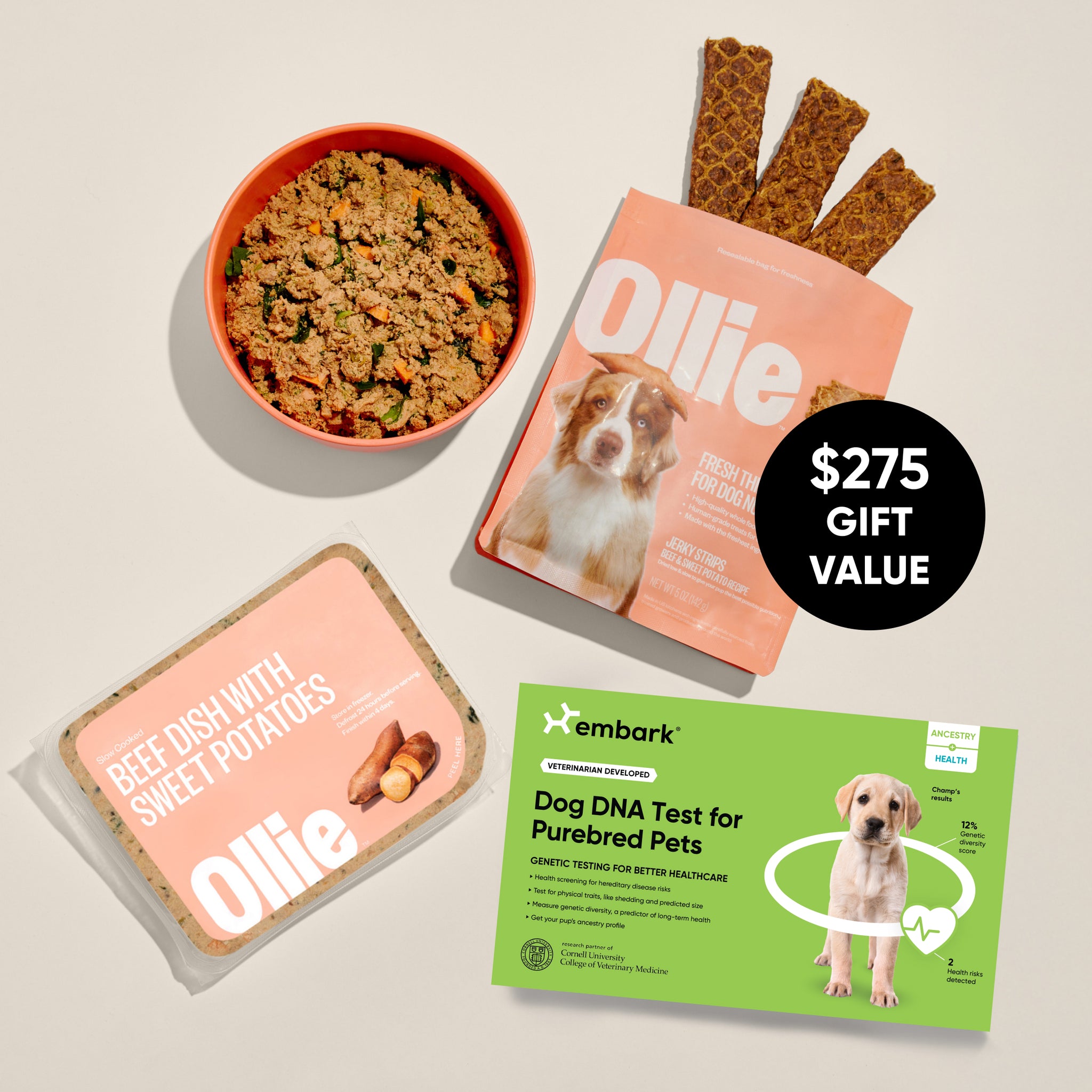 Embark Puppy Partner DNA Test