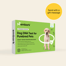 Embark dog DNA test kits