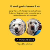 Embark Dog DNA Test