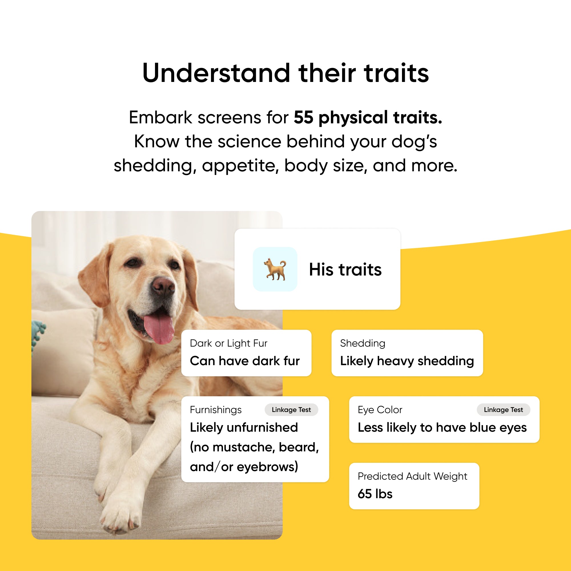 Purebred Dog DNA Test