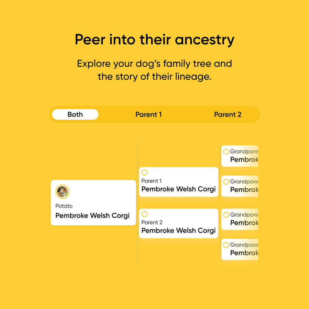 Purebred Test 2-Pack