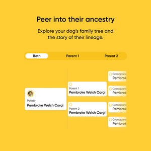 Purebred Test 2-Pack