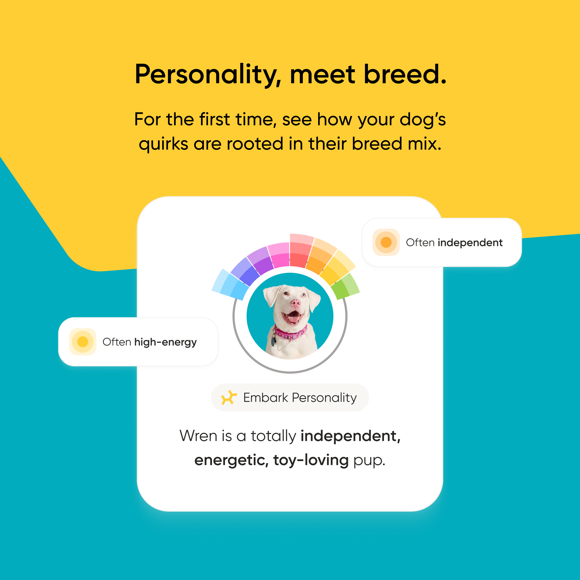 Personality quiz feature. This embarked dog is high energy and often independent.