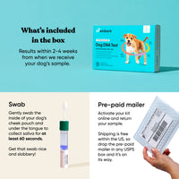 what's included in an embark breed and health test kit