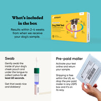 Embark Dog DNA Test +  Shelter Program